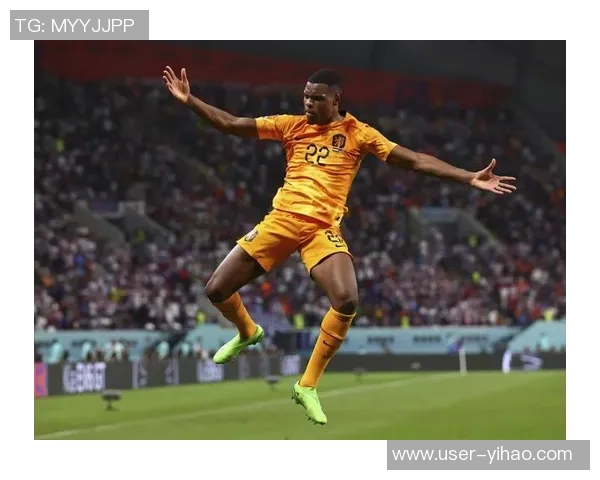 邓弗里斯预计1月20日回归国米目标三月初重返赛场